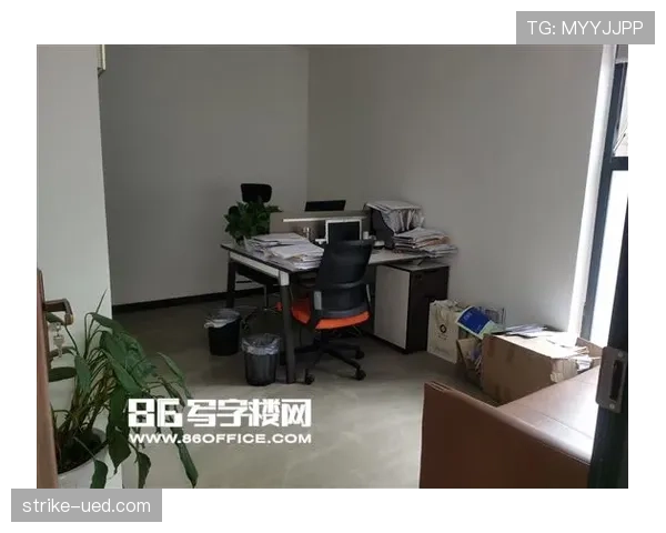 马龙出门拎的包我看着就想辞职