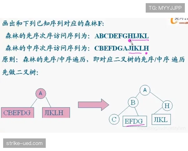 阿尔瓦雷斯：高数据产出为何难以匹配战术影响力？