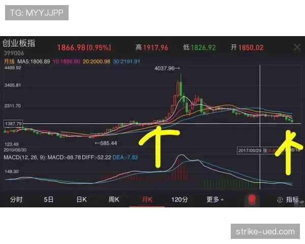 E组黑马机会与风险分析